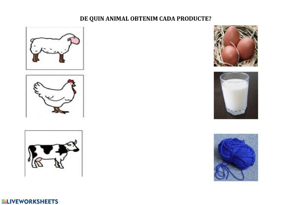 Productos animales
