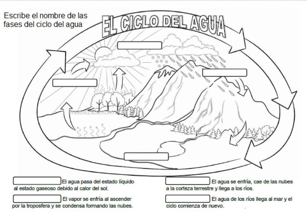Ciclo del agua