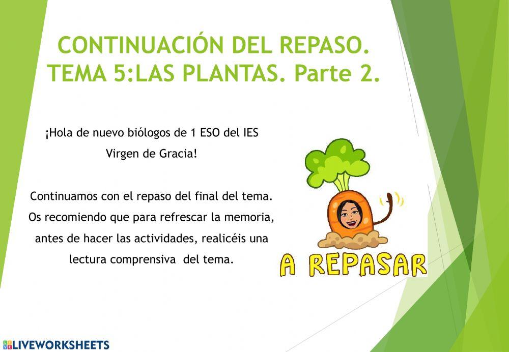 Las plantas. Parte 2