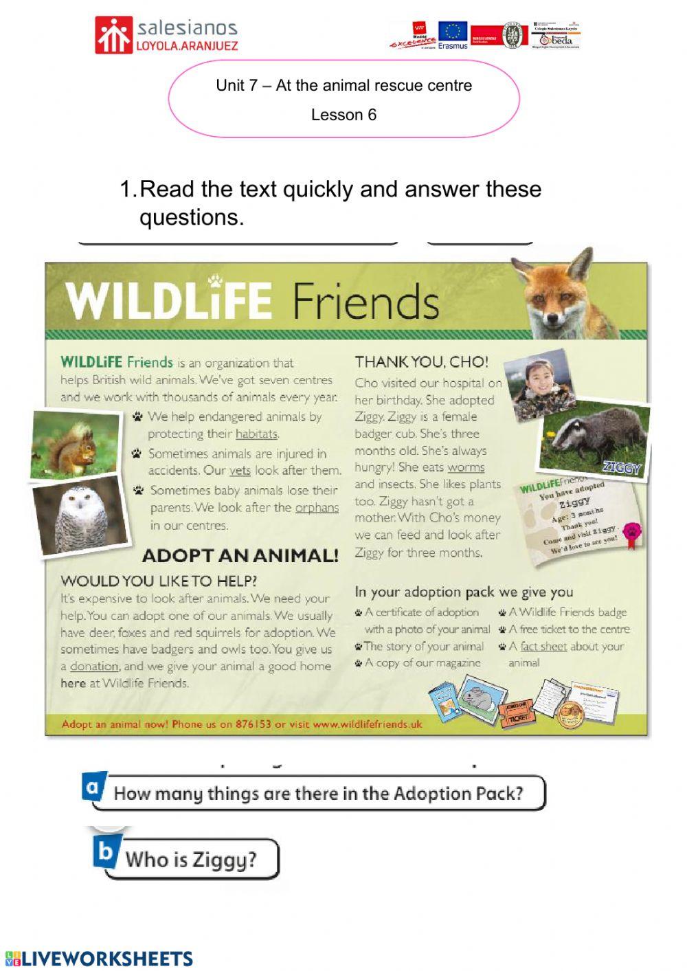 Lesson 6 Unit 7 English 5º