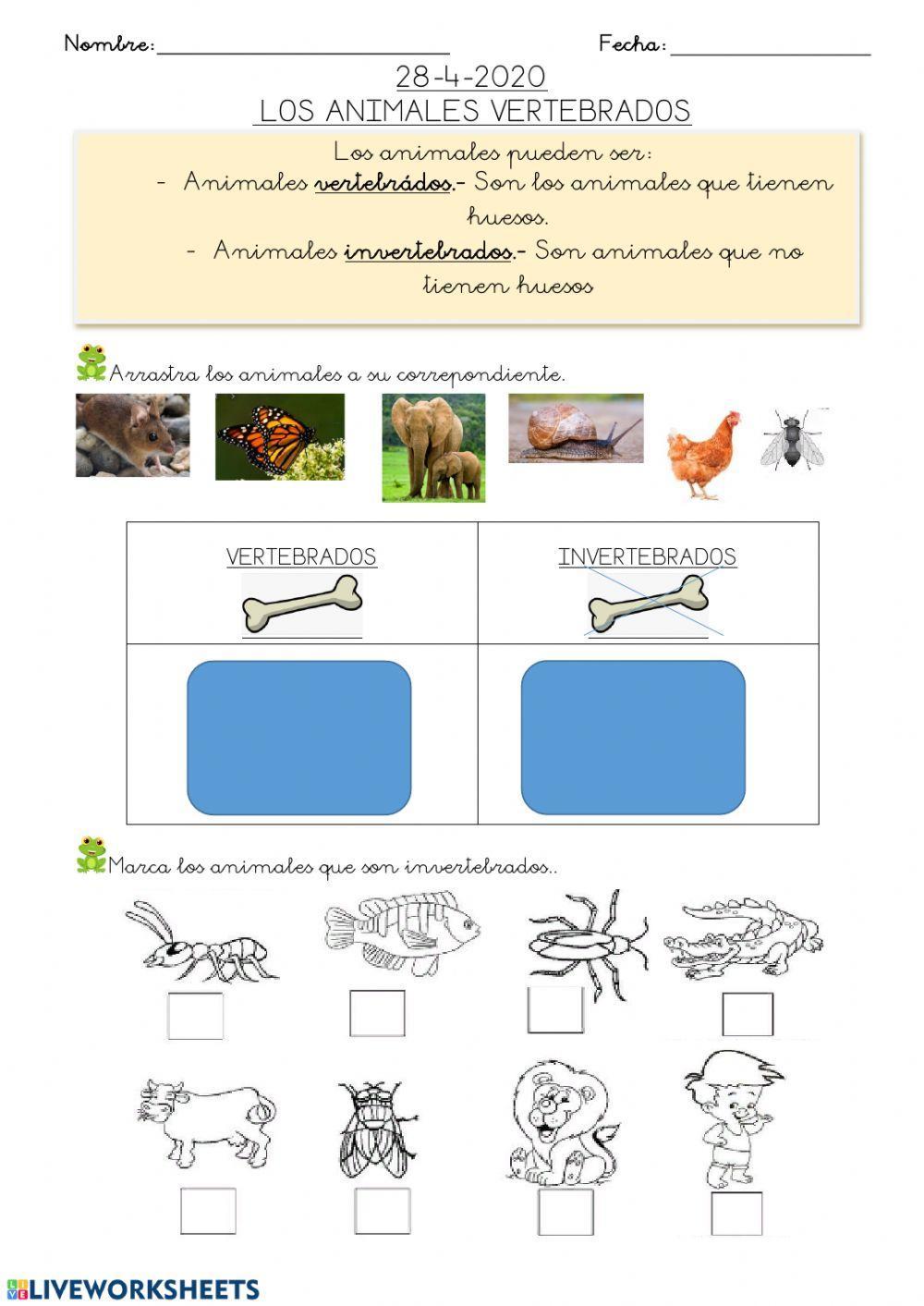 Hoja 5: animales vertebrados e invertebtrados 28-4