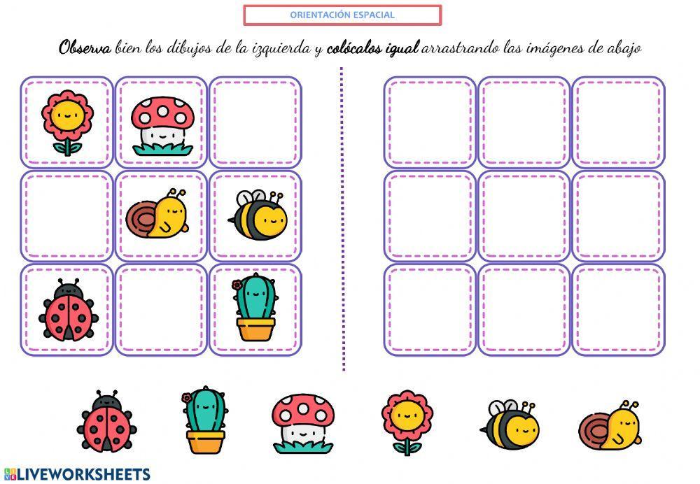 Orientación espacial 1