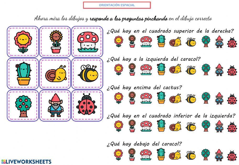 Orientación espacial 1