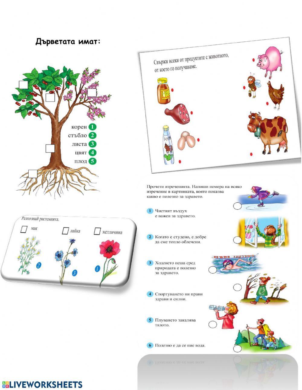 133555 | Околен свят | ivimiteva77varna | LiveWorksheets