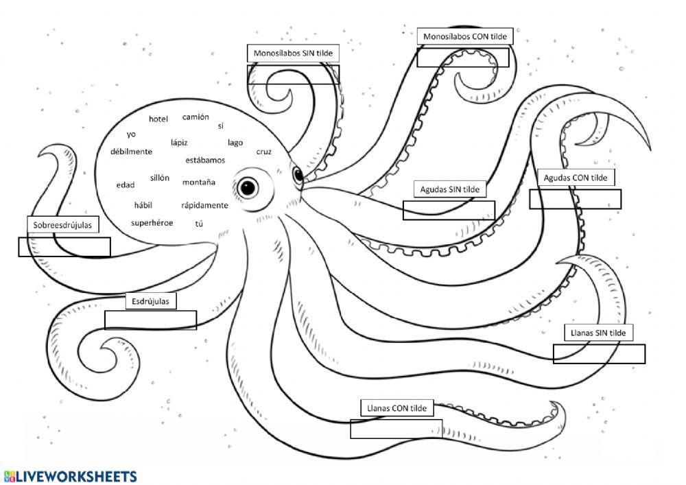 Tipos de palabras según su acentuación