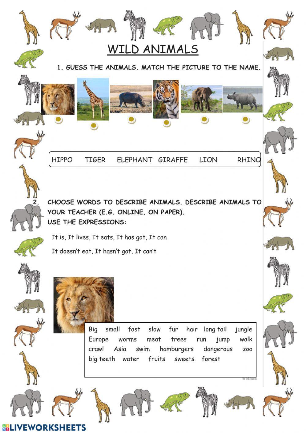 Vocabulary, Speaking Wild Animals