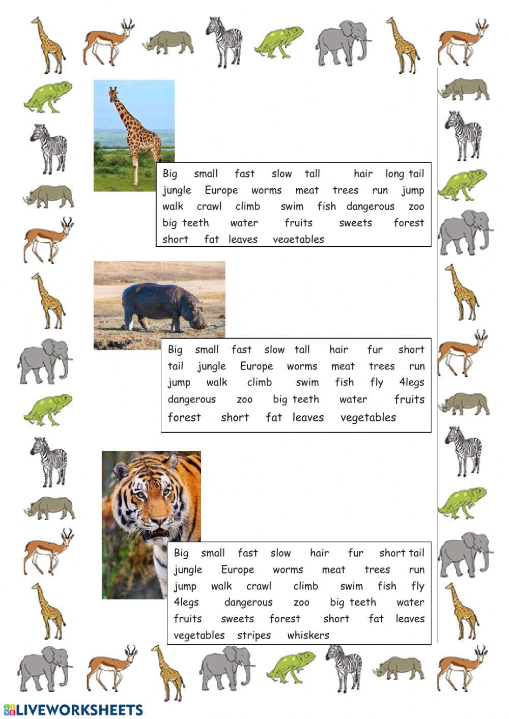 Vocabulary, Speaking Wild Animals