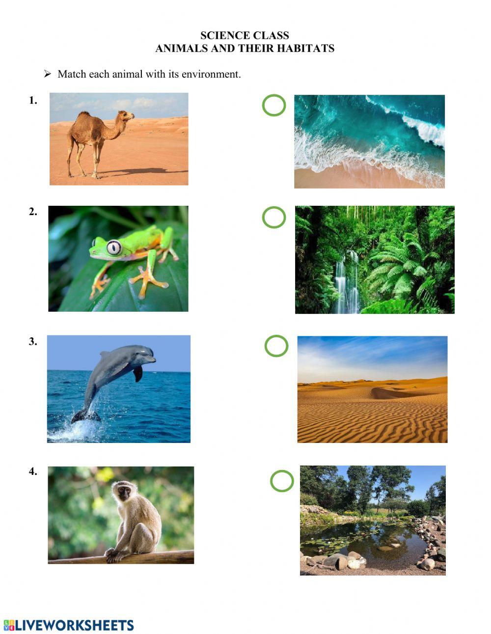 Animals and their habitats Animals and their habitats