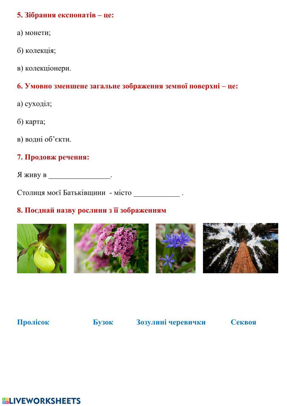 Діагностчна робота з теми -Моя країна-Україна-