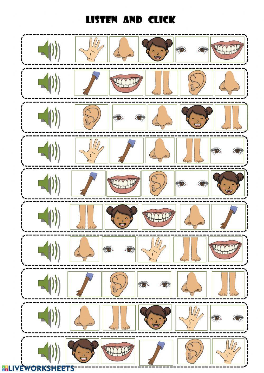 Parts of the Body Parts of the Body