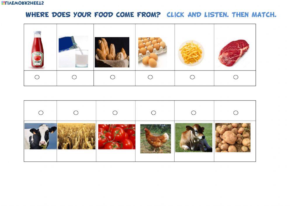 Where does food come from?