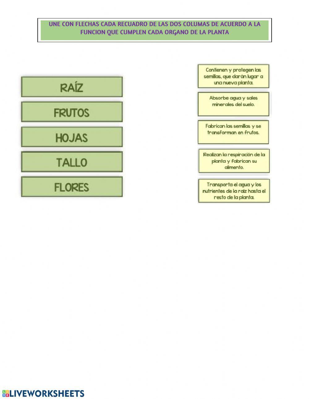 Taller de Ciencias Nutrición y Reproducción en las plantas