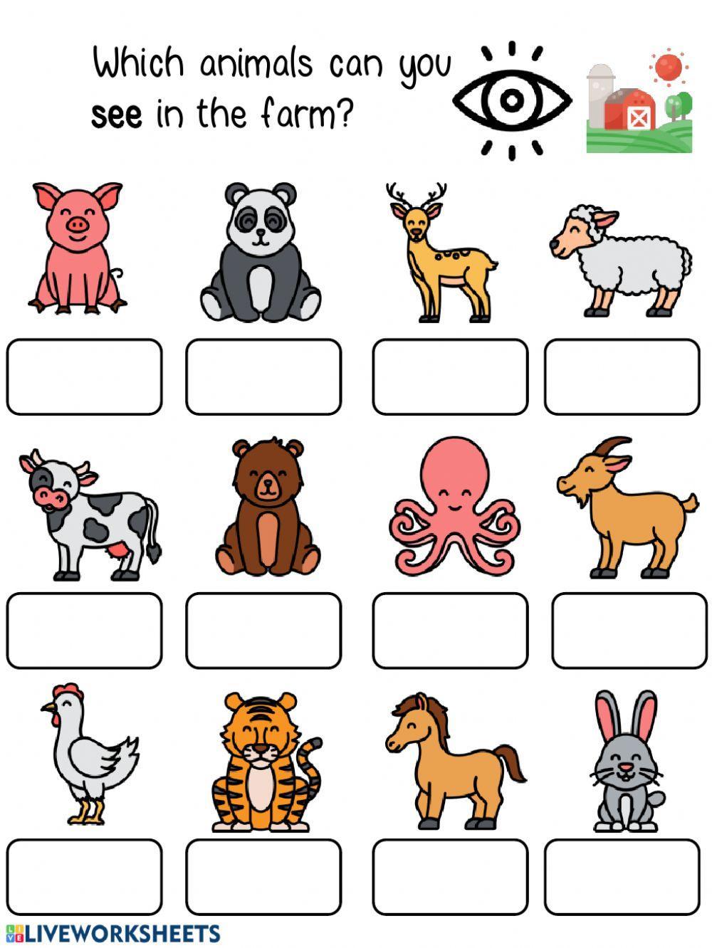 Farm animals classification Farm animals classification