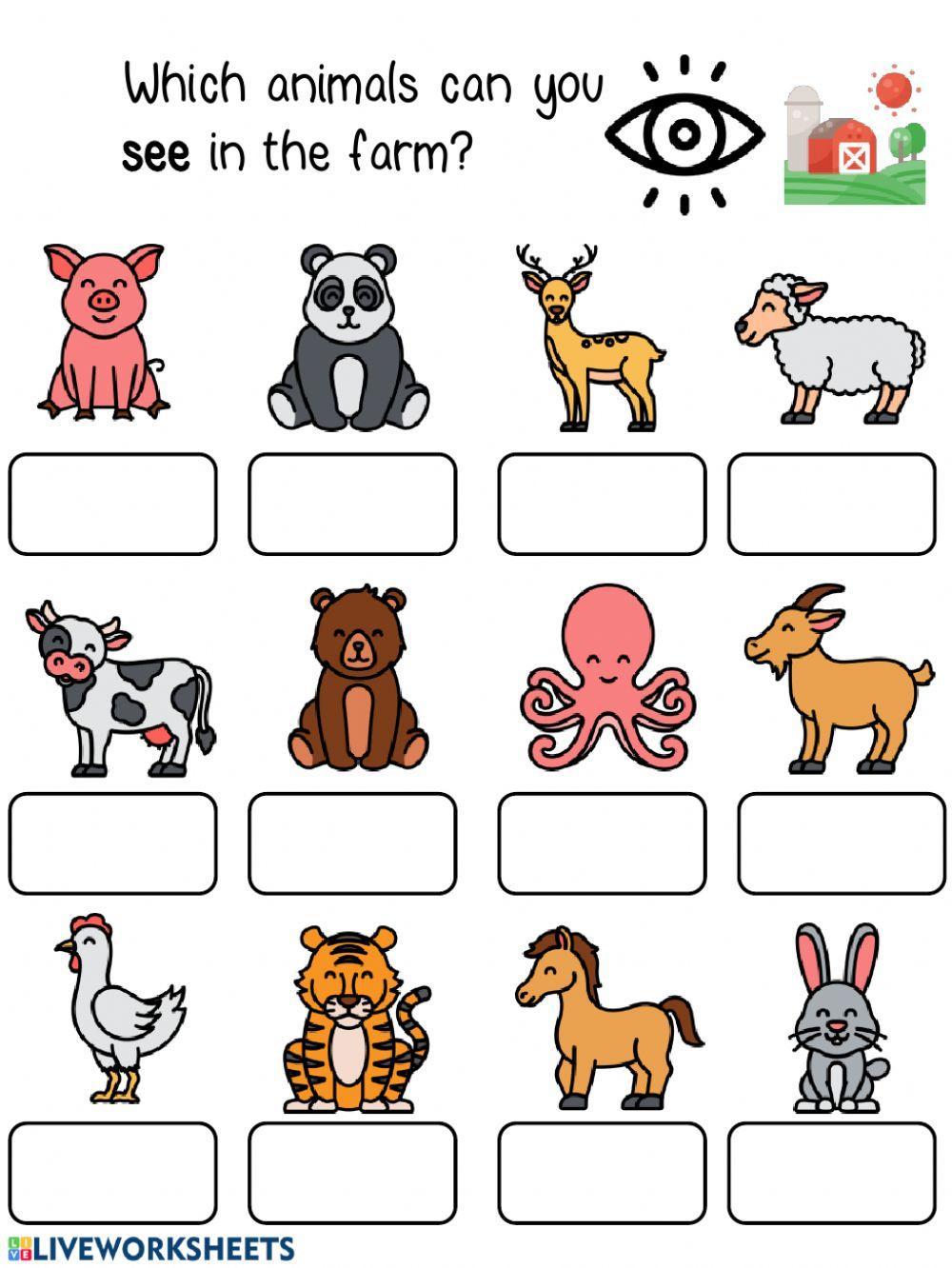 Farm animals classification