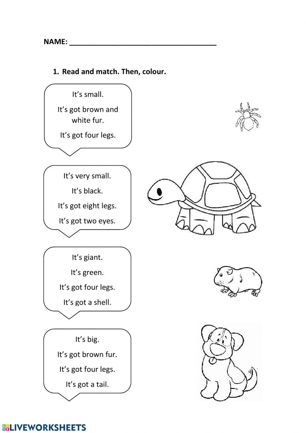 Animals descriptions