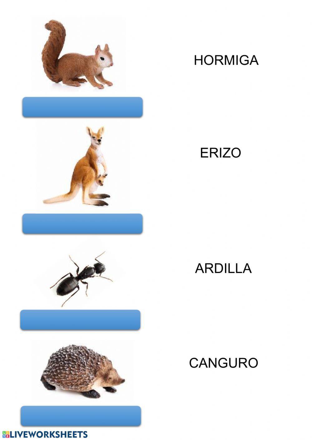 Animales 4