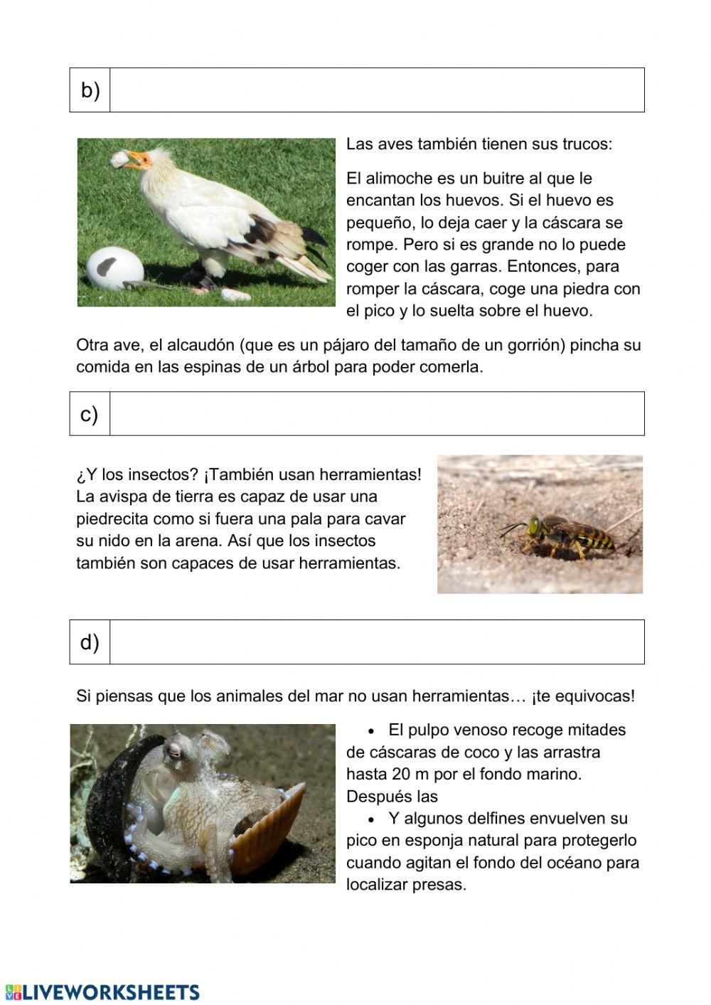 Animales habilidosos Animales habilidosos