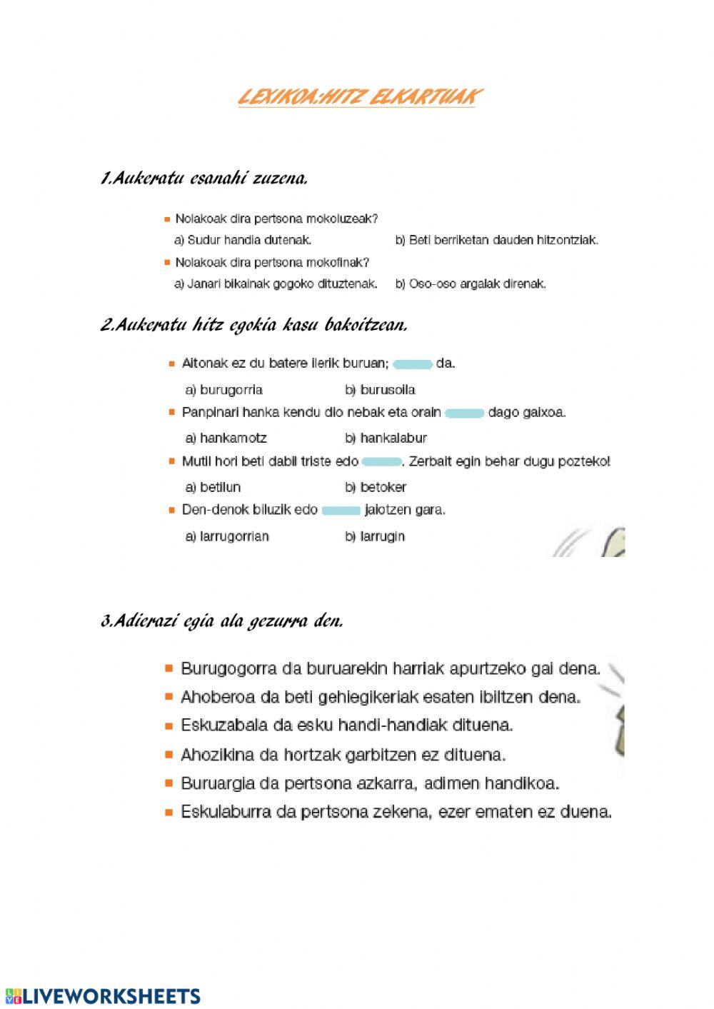 Lexikoa: hitz elkartuak