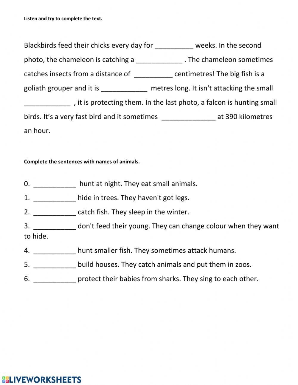 Animal behaviour. EP1. Unit 4.(pg.42)