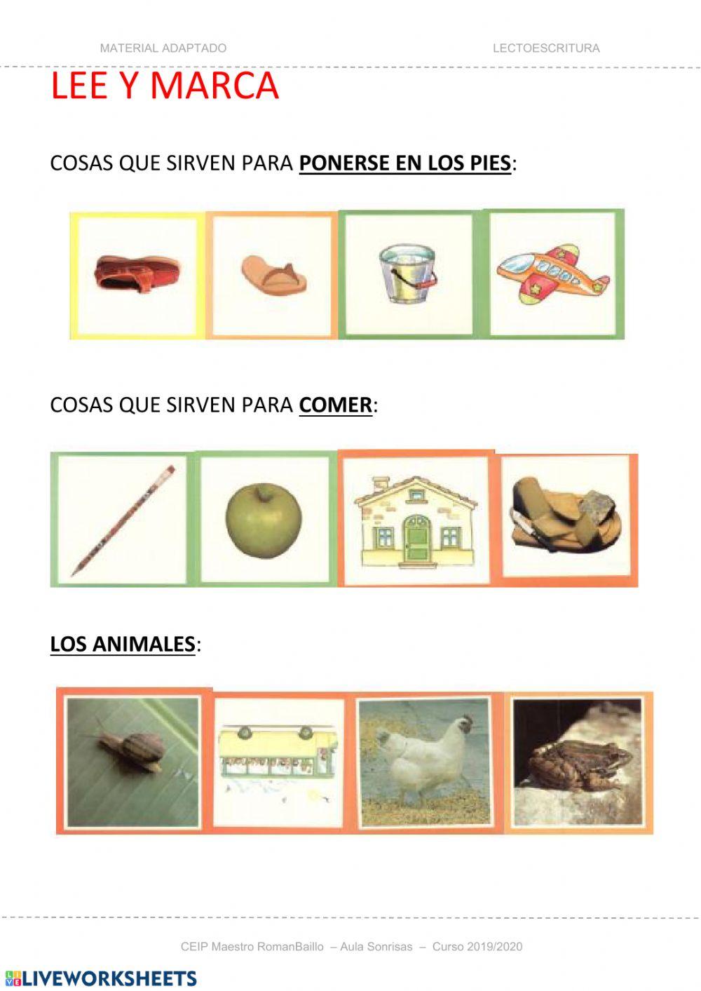 Lengua teach 11 Lengua teach 11