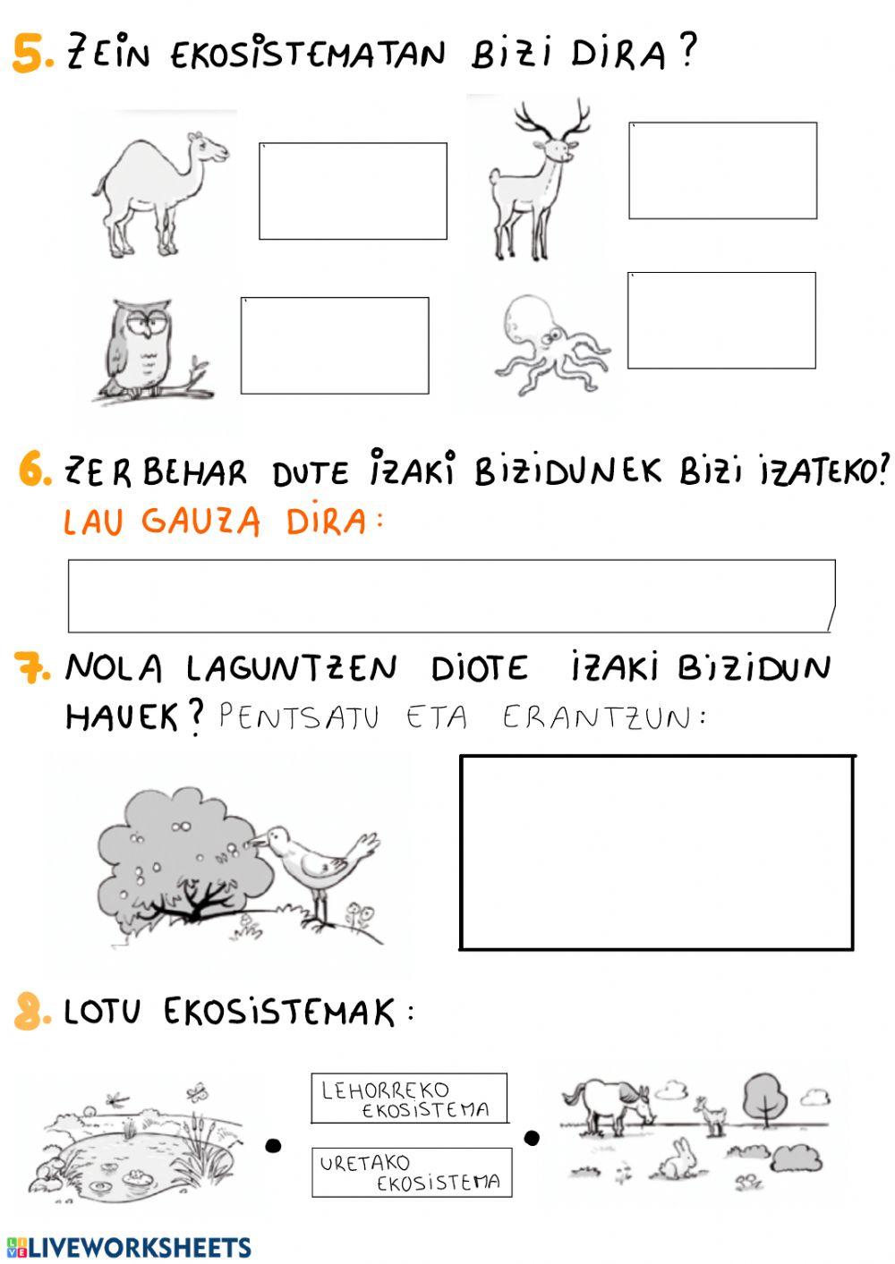 Froga: animalidad eta ekosistemak