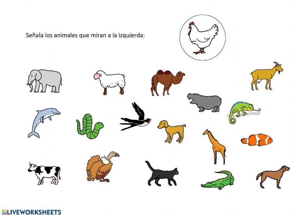 Animales que miran a la izquierda