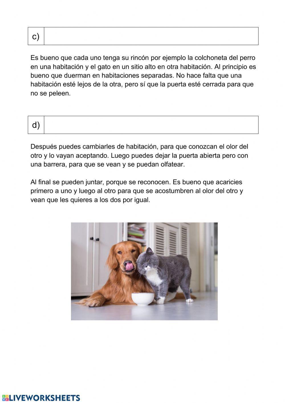 Asociar párrafo y título Asociar párrafo y título