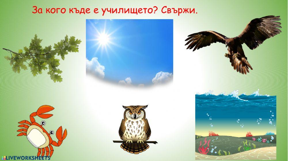 За кого какво е училището? 135647 | Gergana Barkova