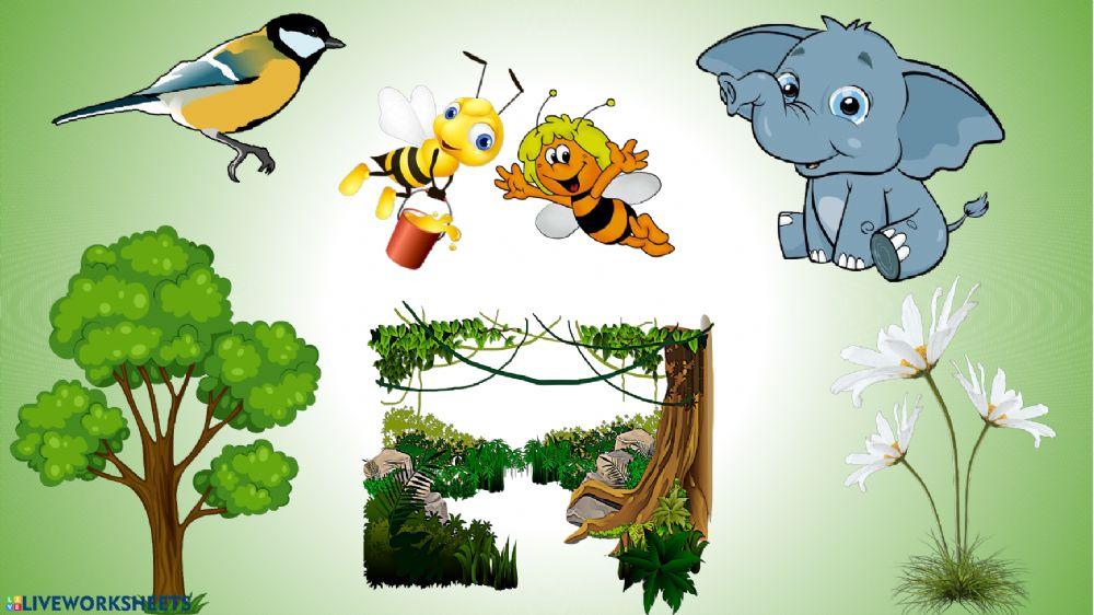 За кого какво е училището?