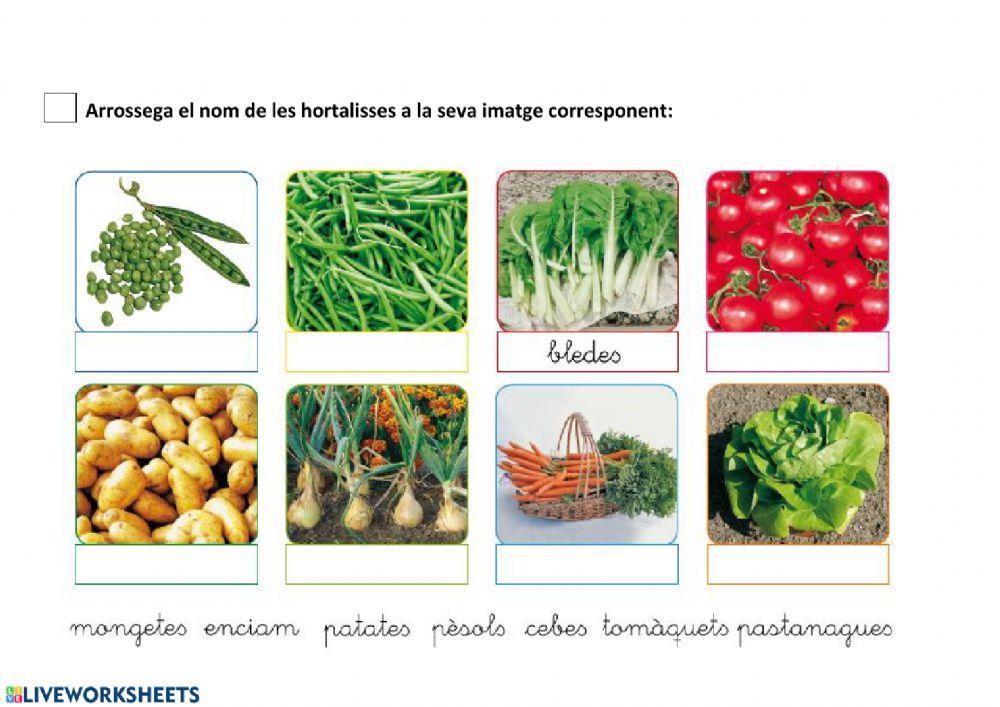 Vocabulari hortalisses i verdures