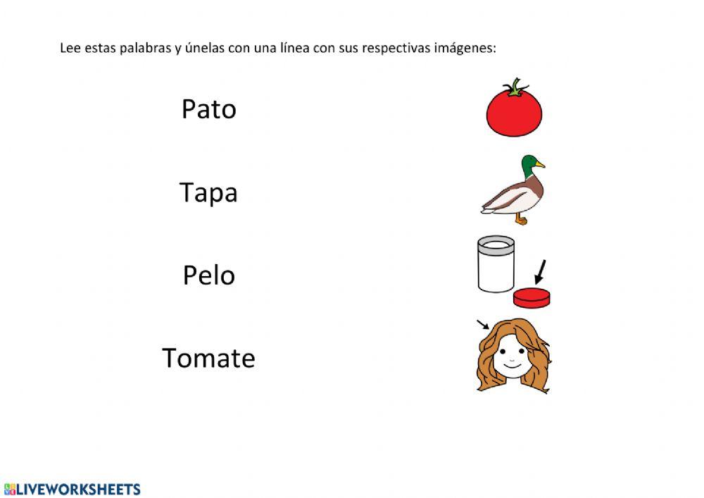 Lectura palabras P, M, L y T