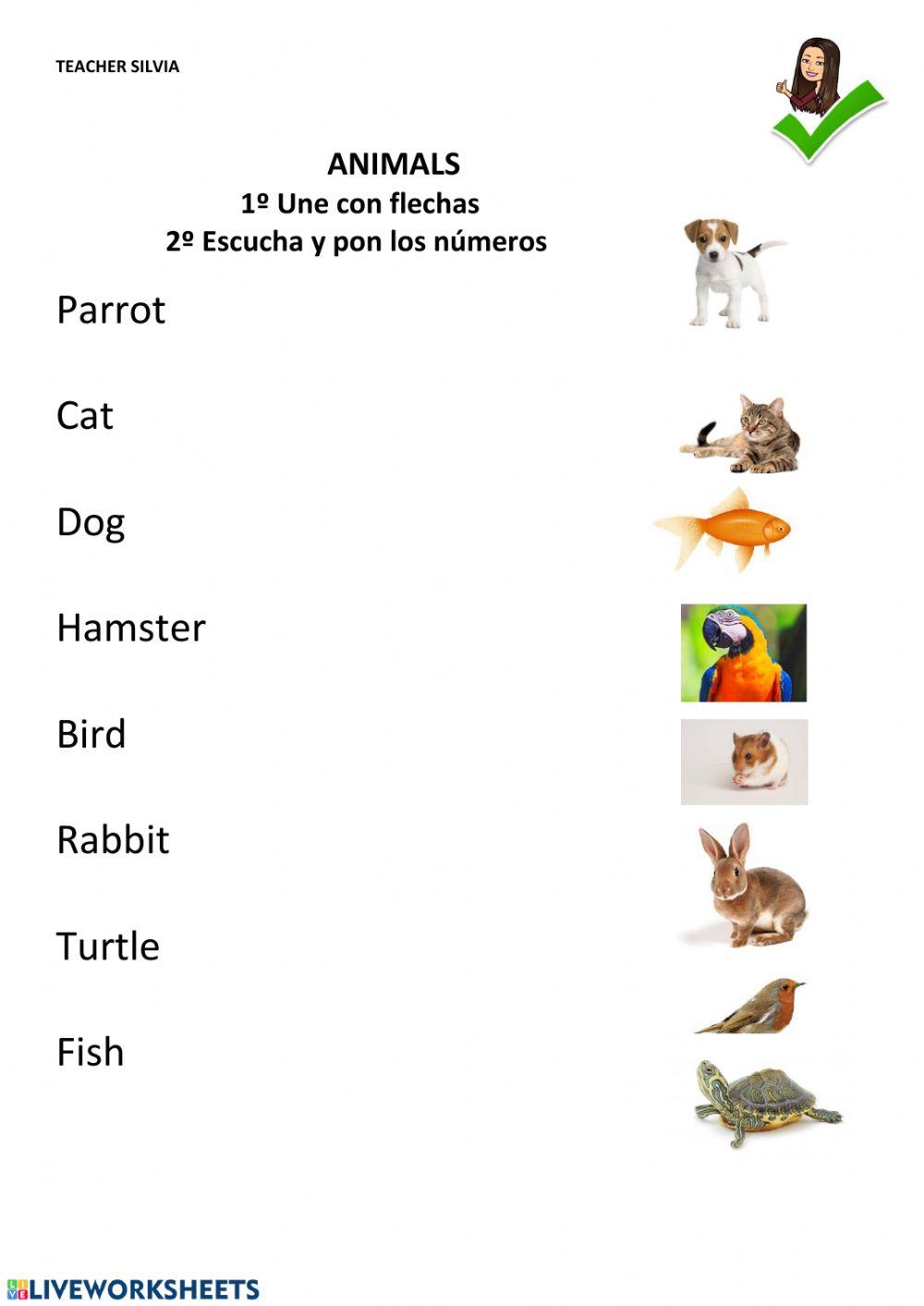 Animals 1º