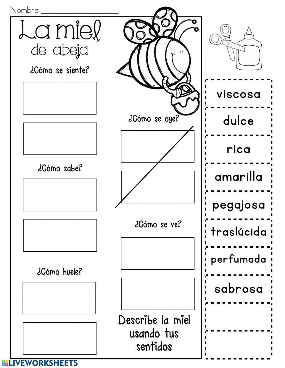 Primavera y los sentidos