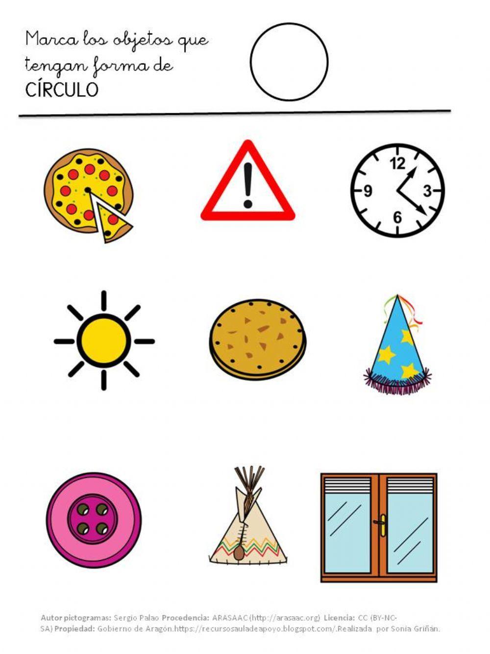 El círculo con objetos