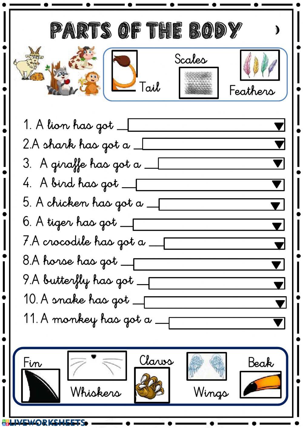 Parts of the body of the animals
