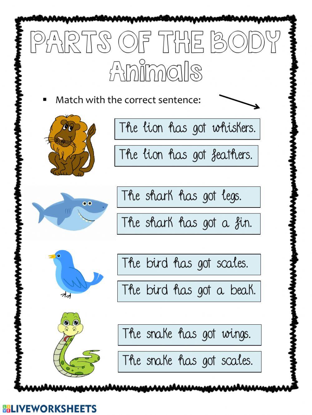 Parts of the body of the animals