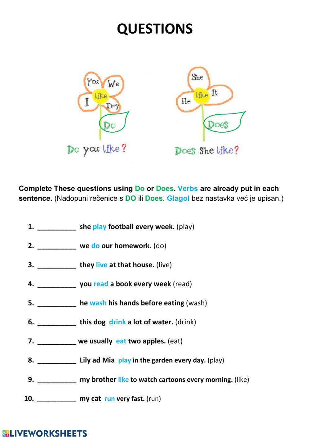 Present Simple, Questions, obr