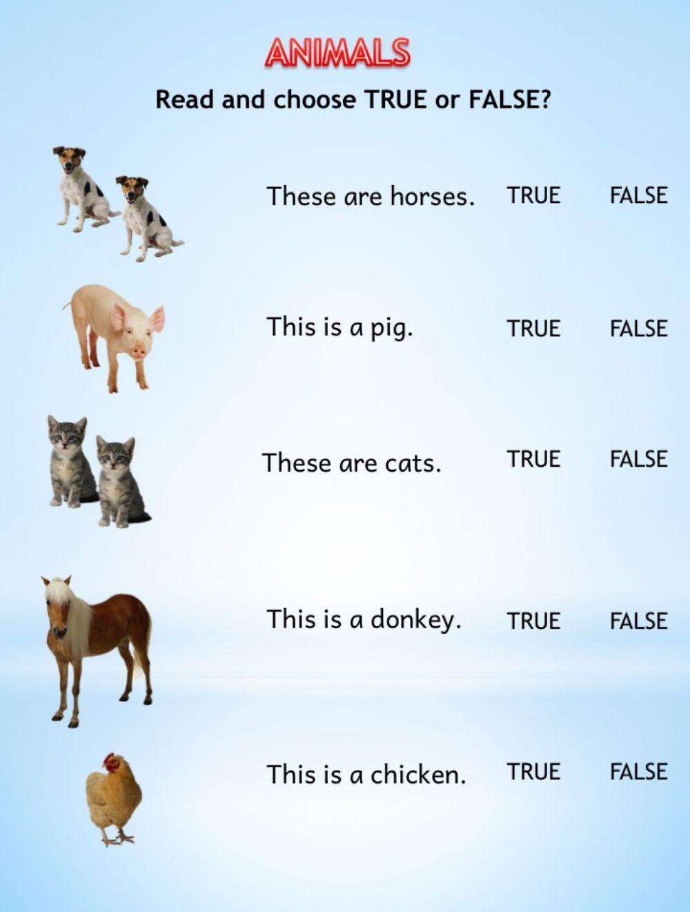 True or False? (Animals- This is - These are) worksheet | Live Worksheets