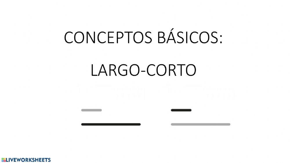 Largo y corto