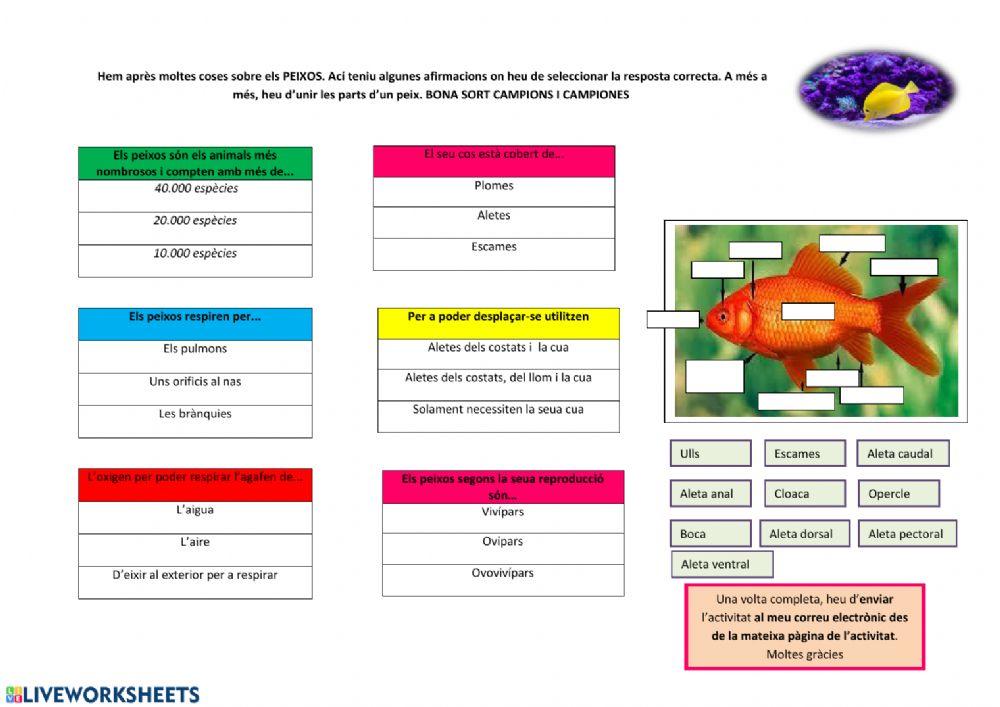 Descobrint als peixos