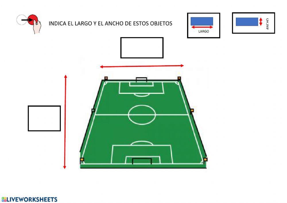 Largo y ancho