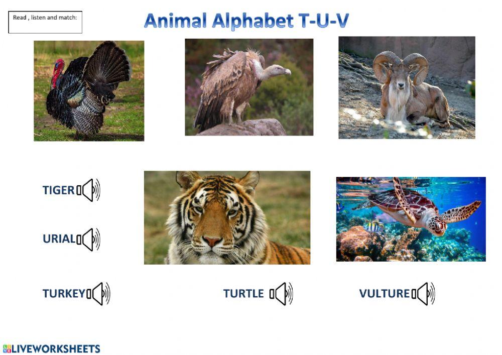 Animal Alphabet T-U-V worksheet | Live Worksheets