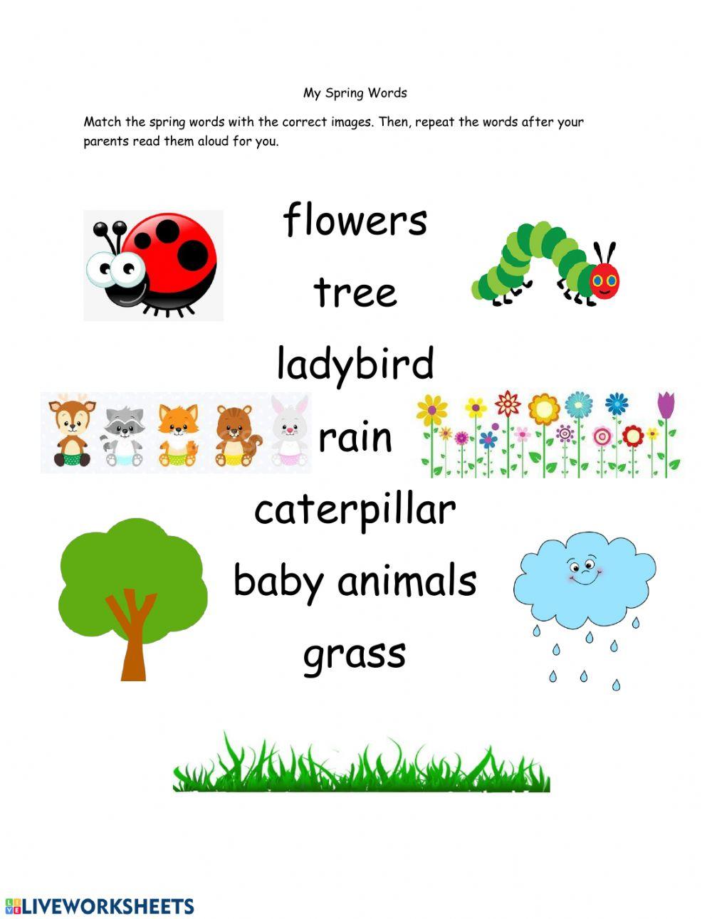 My Spring Words My Spring Words
