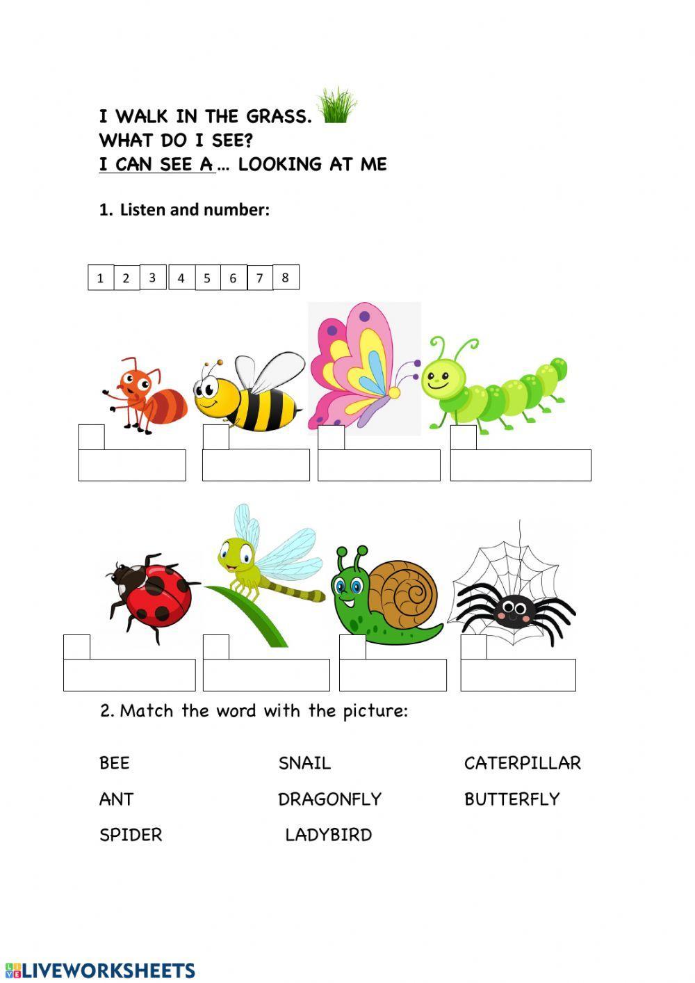 -I walk in the grass- song