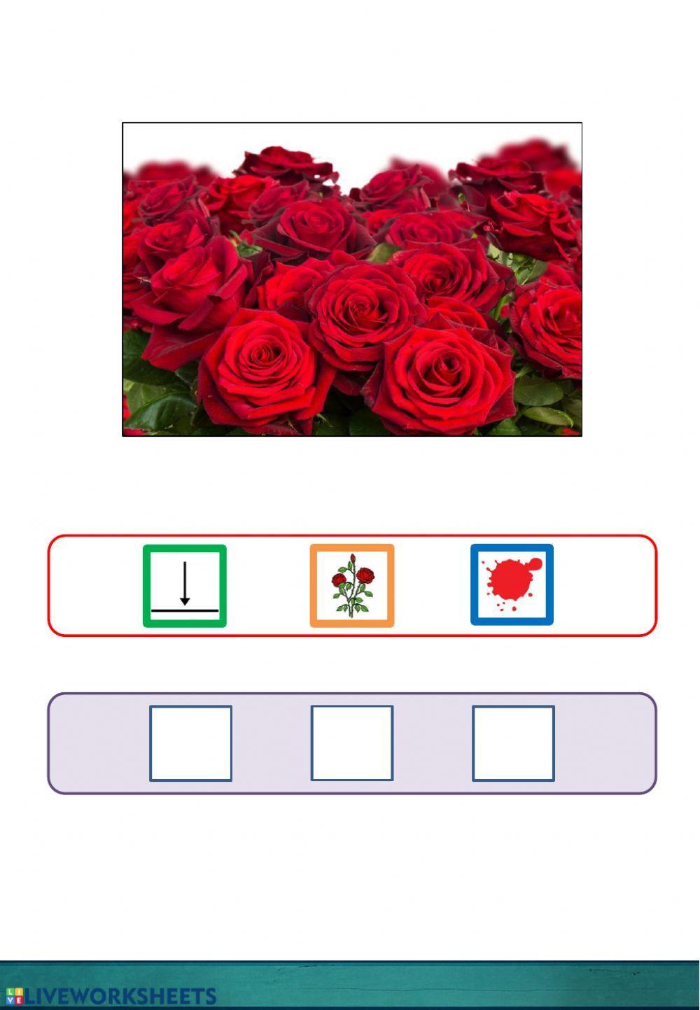 UDABERRIKO ESALDIEN OSAGAIAK ORDENATU (audioarekin) 2