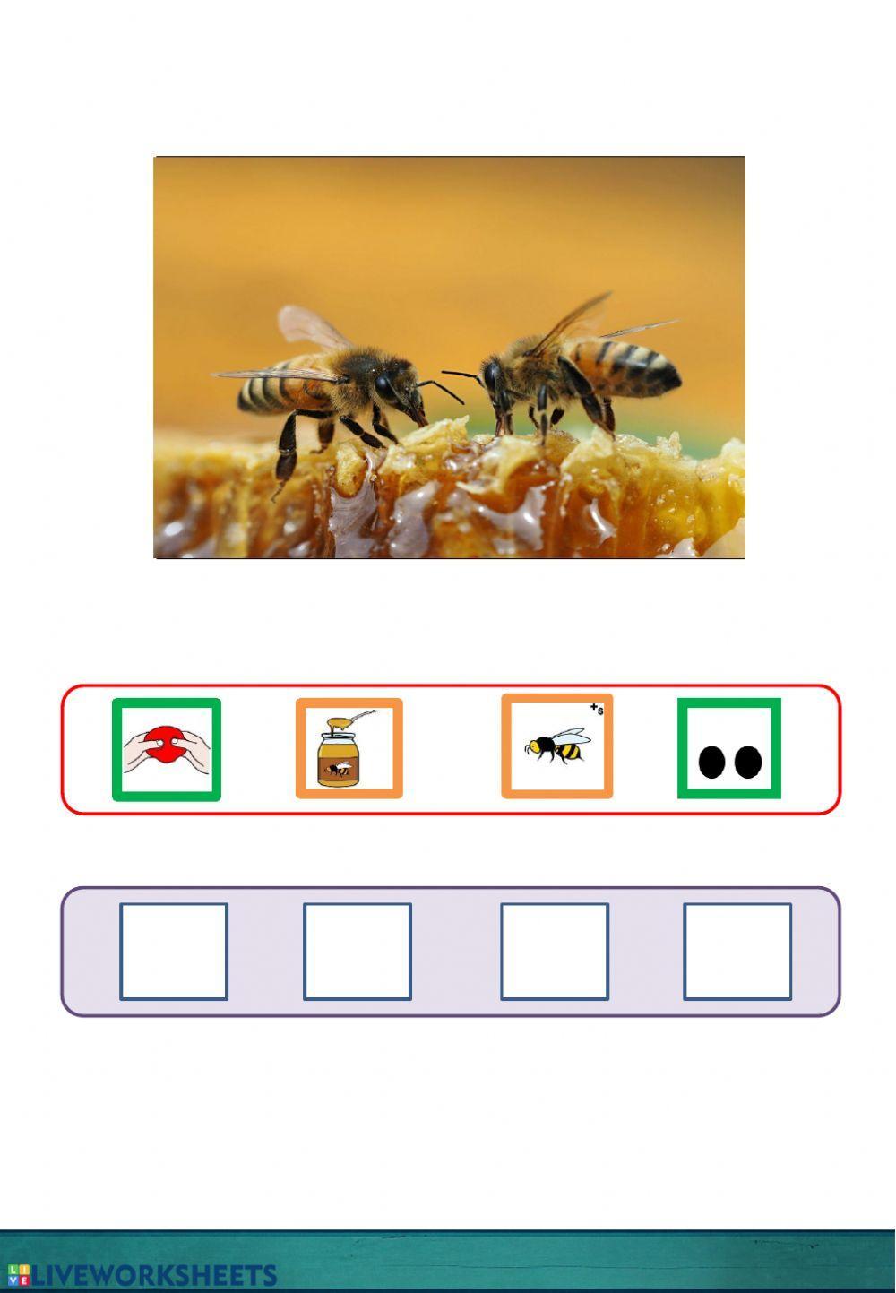UDABERRIKO ESALDIEN OSAGAIAK ORDENATU (audioarekin) 2