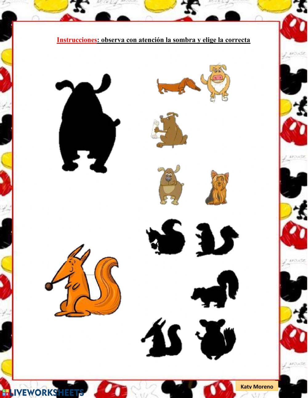 Ámbito Relaciones  Lógico Matemático