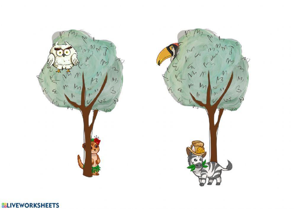 Conceptos espaciales: delante-detrás