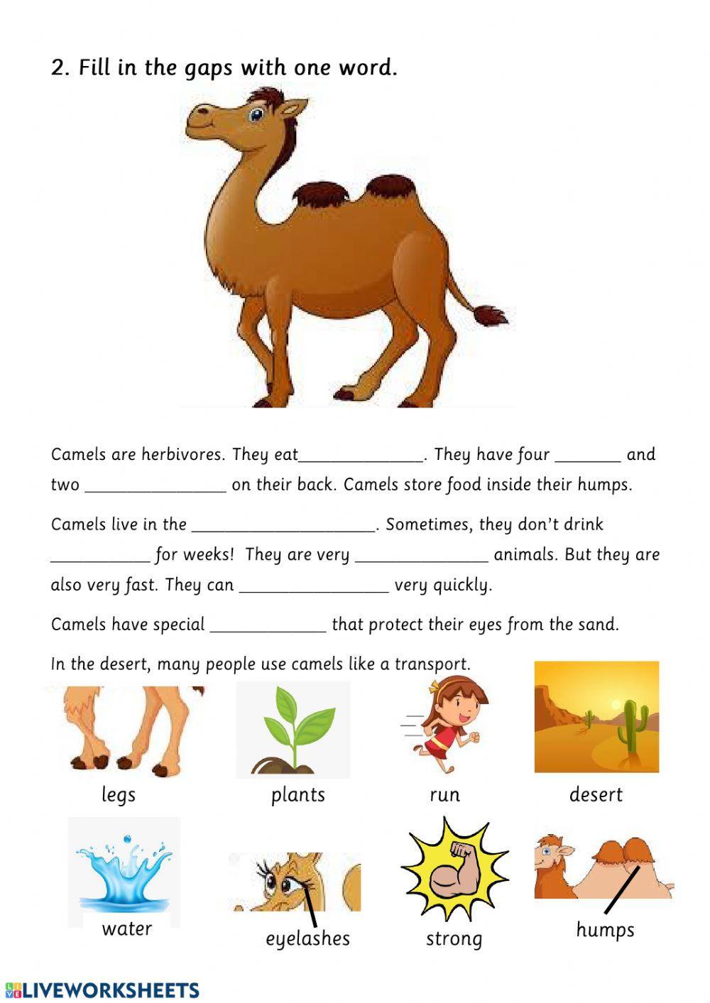 Reading and writing Starters