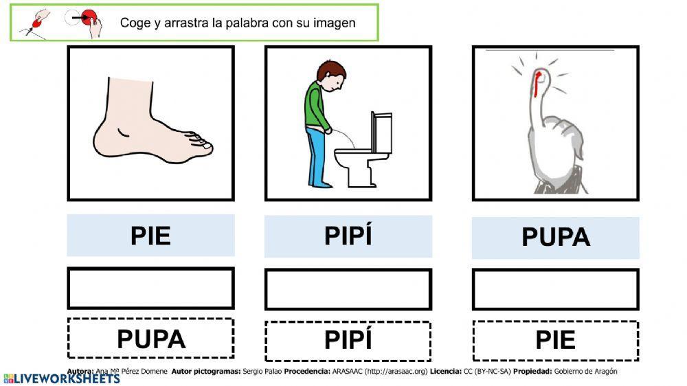 Lectura-Global-P2